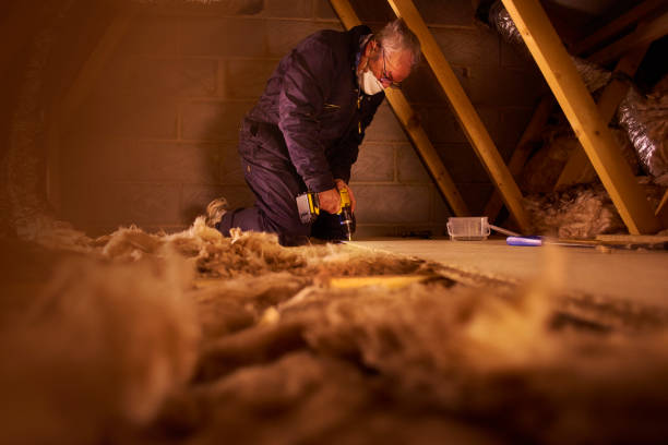 Best Residential Insulation in Northport, AL